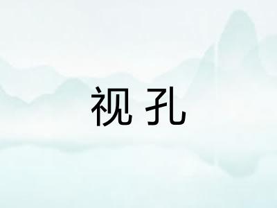 视孔