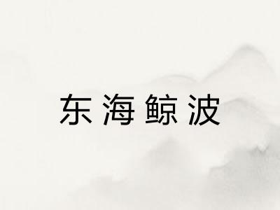 东海鲸波