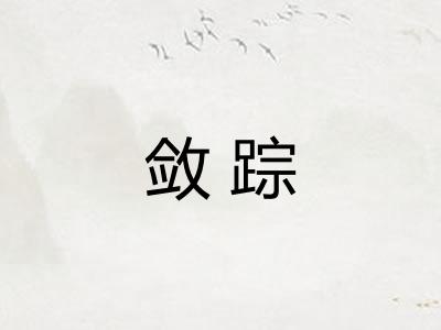 敛踪