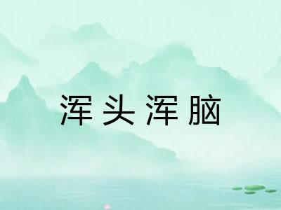 浑头浑脑 浑头浑脑