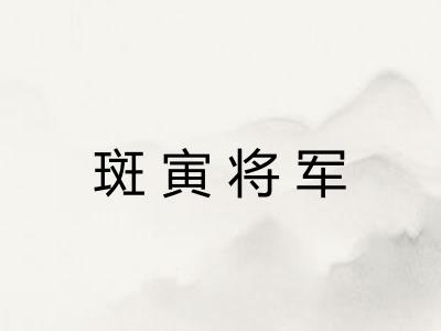 斑寅将军