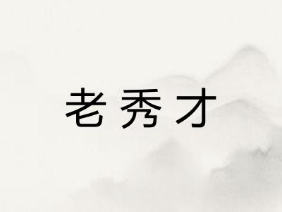 老秀才