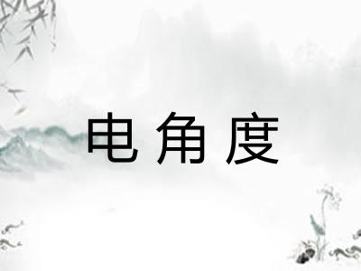 电角度