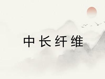 中长纤维