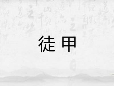 徒甲
