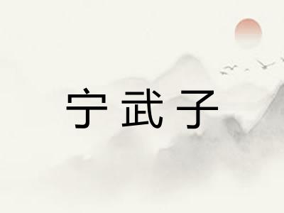 宁武子