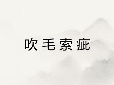 吹毛索疵