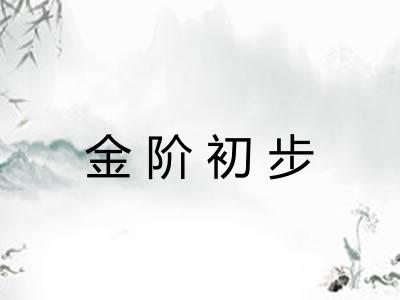 金阶初步