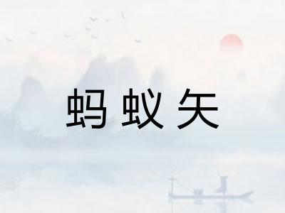 蚂蚁矢