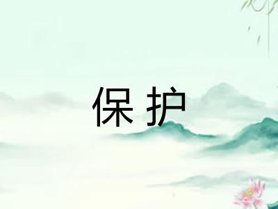 保护