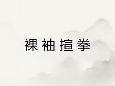 裸袖揎拳