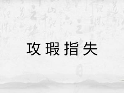 攻瑕指失