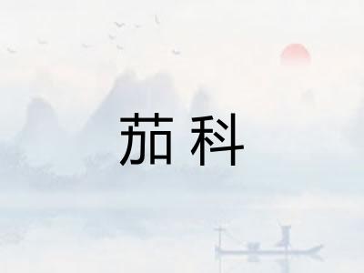 茄科
