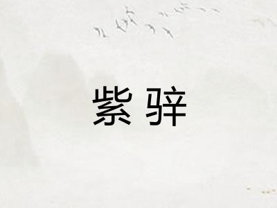 紫骍