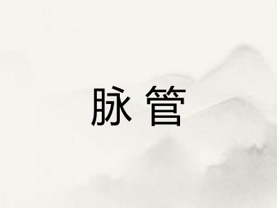 脉管