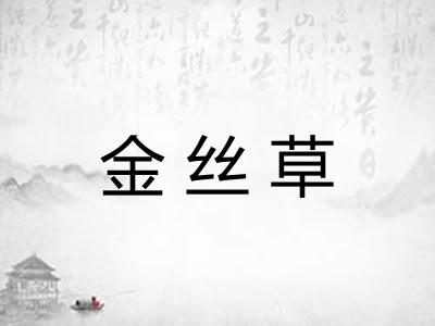 金丝草