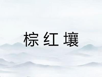 棕红壤
