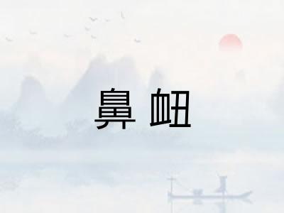 鼻衄