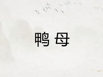 鸭母