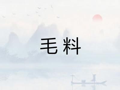 毛料
