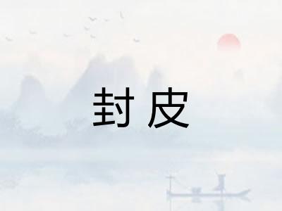 封皮