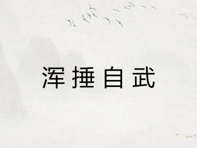 浑捶自武
