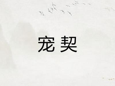 宠契