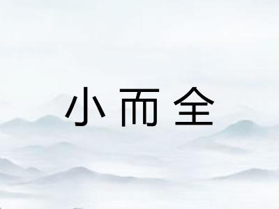 小而全