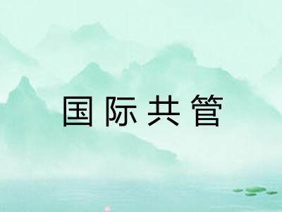 国际共管