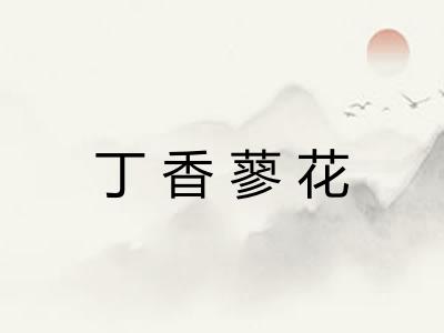 丁香蓼花