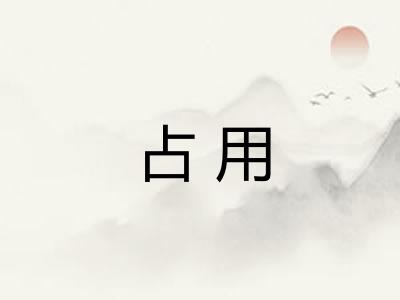 占用