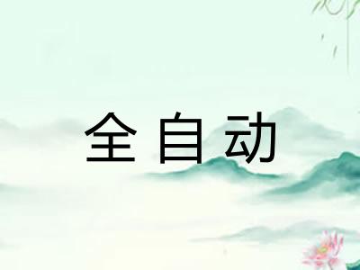 全自动