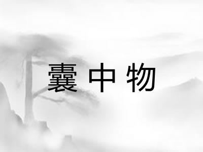 囊中物