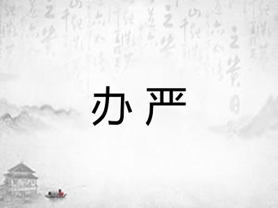 办严