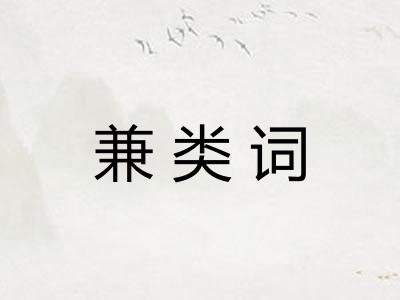 兼类词