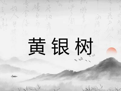 黄银树