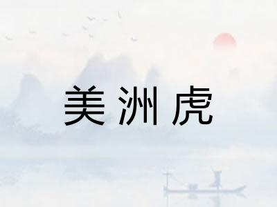 美洲虎