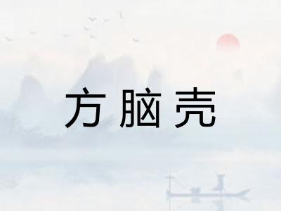 方脑壳