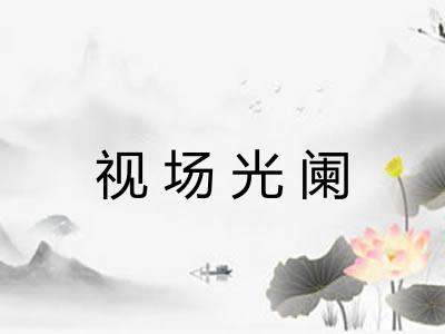 视场光阑