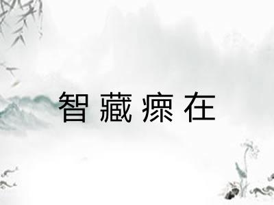 智藏瘝在