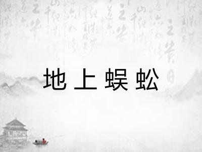 地上蜈蚣