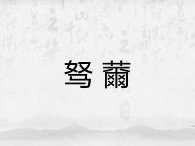 驽薾