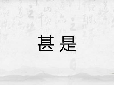 甚是