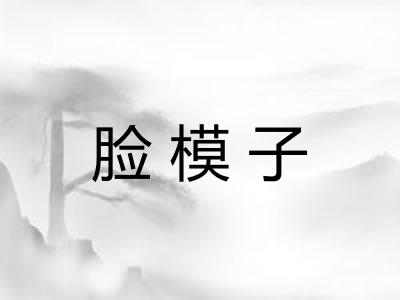 脸模子