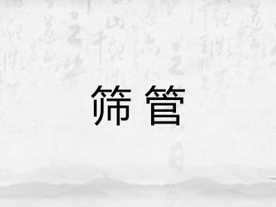 筛管