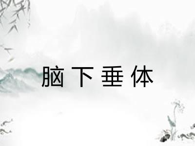 脑下垂体