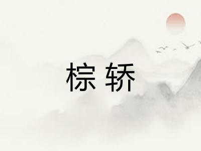 棕轿