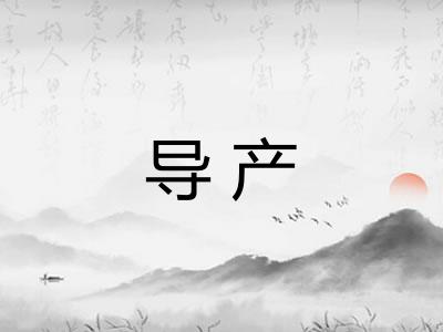 导产