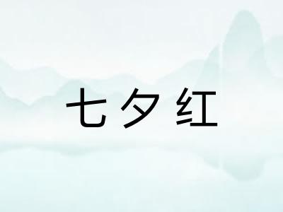 七夕红