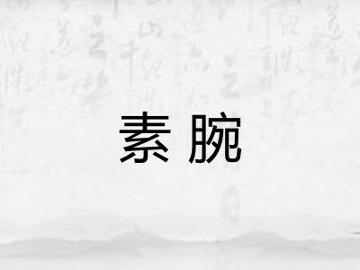 素腕